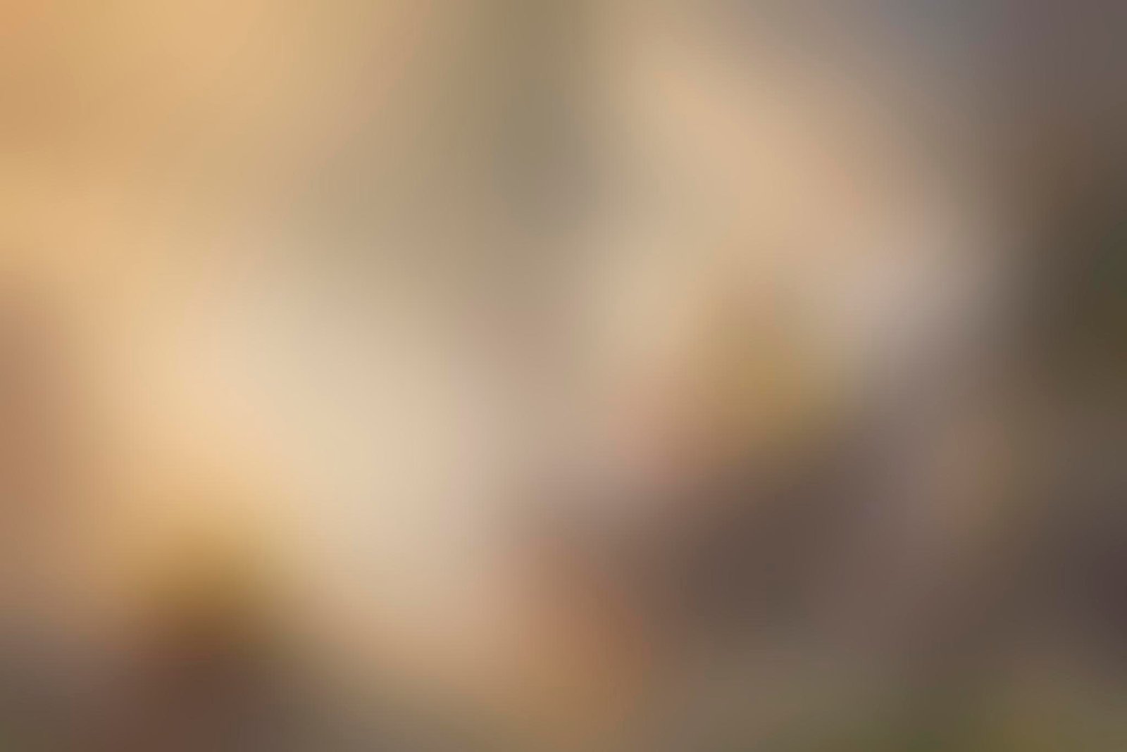 slide img
